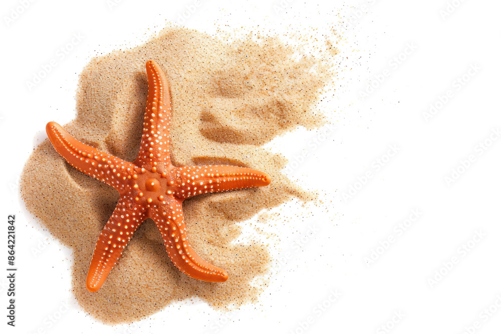 orange starfish on sandy beach isolated on transparent or white background, coastal decor, top view