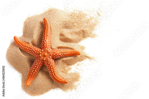 Obraz na płótnie orange starfish on sandy beach isolated on transparent or white background, coastal decor, top view w salonie