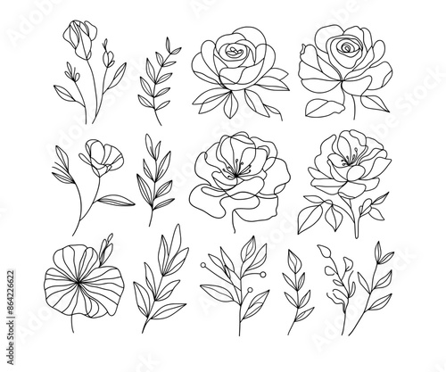 collection hand drawn floral illustrations featuring various flowers and leaves. Each design showcases intricate line work and unique botanical elements, perfect for use in art projects, invitations