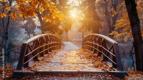 beautiful bridge with the sun in the background in a park in autumn in high resolution and high quality photo