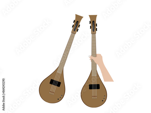 mandolin on a white background.