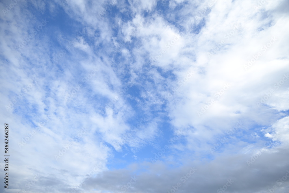 Obraz premium 夏の青空