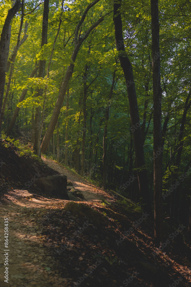 Evening Hiking Trail in La Crosse Wisconsin Evening Hiking Trail in La Crosse Wisconsin