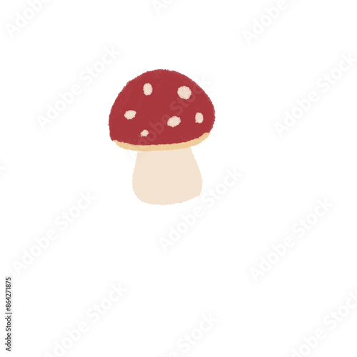 fly agaric mushroom