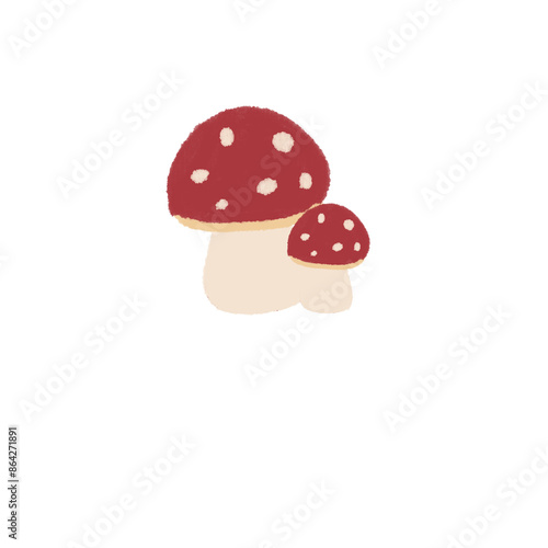 fly agaric mushroom