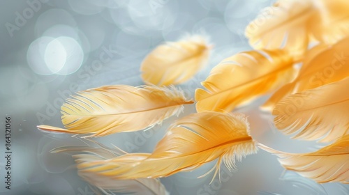 Golden Yellow Feathers on Abstract Gray Artwork