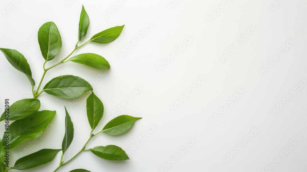 blank copyspace for text, simple layout, white background, isolated on white background blank copyspace for text, simple layout, white background, isolated on white background