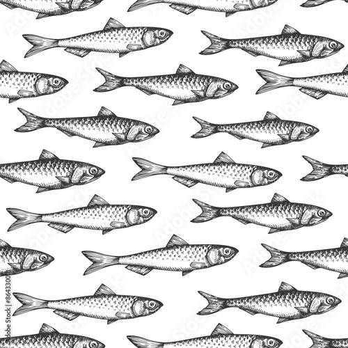 Vintage Style Anchovy Seamless Pattern. Vector Hand Drawn Fish Background. High Quality Old Fashion Illustration
