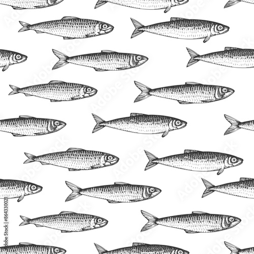 Vintage Style Sardines Seamless Pattern. Vector Hand Drawn Fish Background. High Quality Old Fashion Illustration