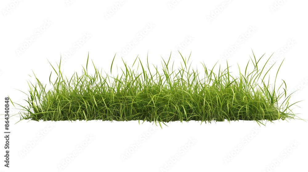 Lush Green Grass Meadow 3D Illustration. A highly detailed 3D illustration of a lush green grass meadow, with vibrant Lush Green Grass Meadow 3D Illustration. A highly detailed 3D illustration of a lush green grass meadow, with vibrant