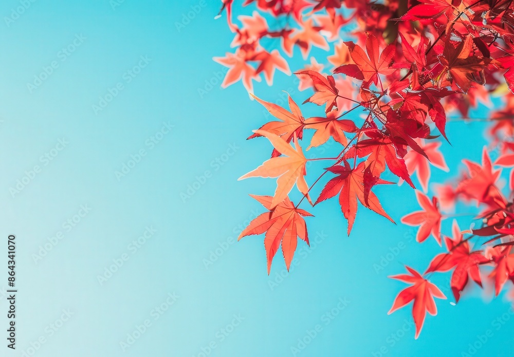 A tree with red leaves is in front of a blue sky A tree with red leaves is in front of a blue sky