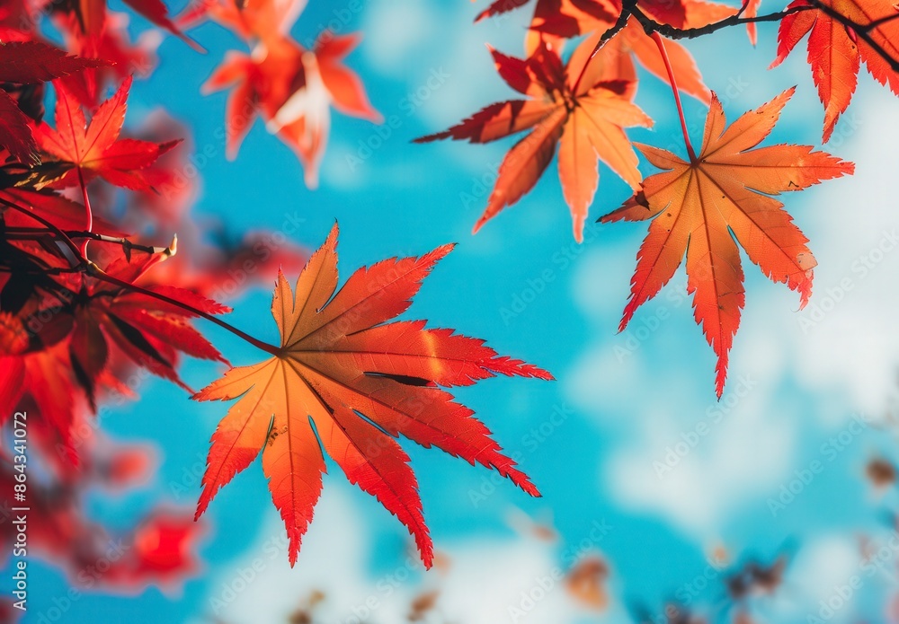A leafy tree with red leaves and a blue sky A leafy tree with red leaves and a blue sky
