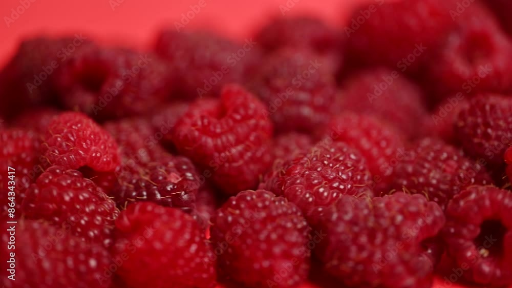 raspberry berries close-up raspberry berries close-up