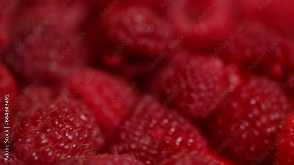 raspberry berries close-up raspberry berries close-up