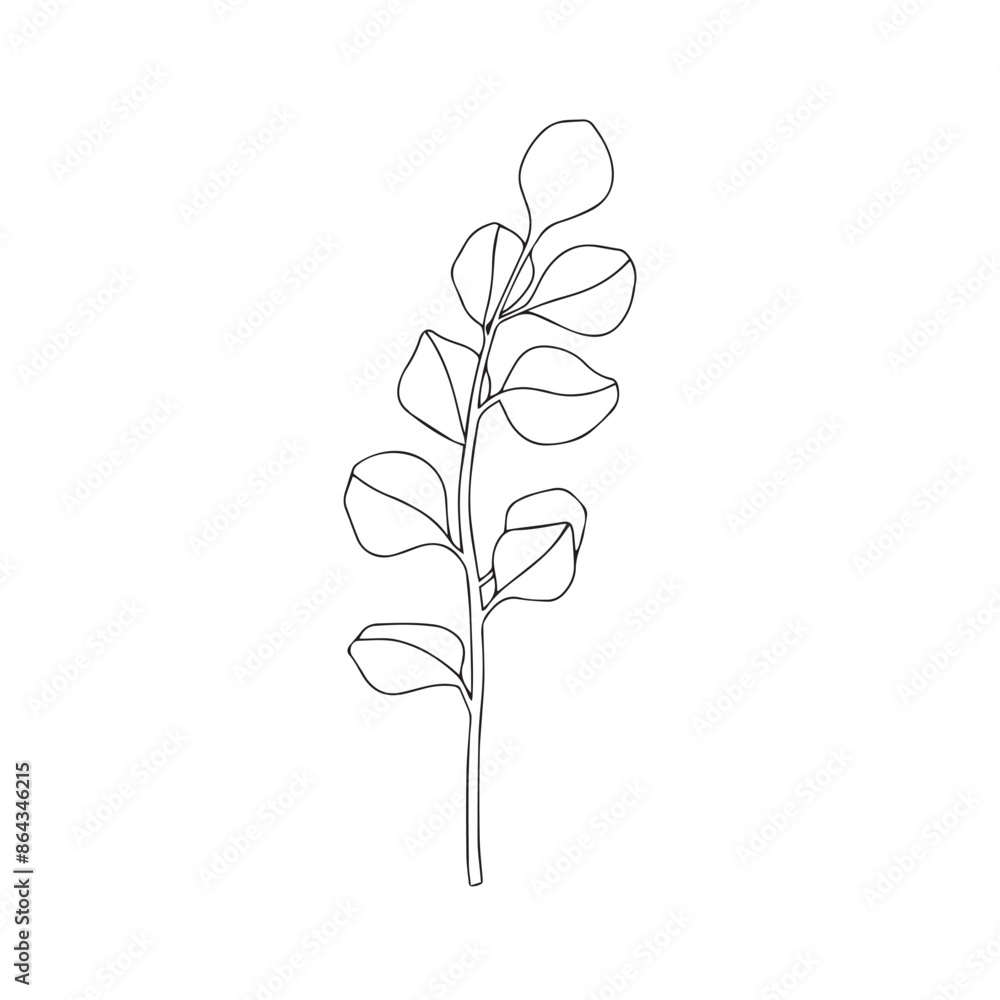 Vector hand drawn minimalist botanical art. Leaves outline drawing. Vector hand drawn minimalist botanical art. Leaves outline drawing.