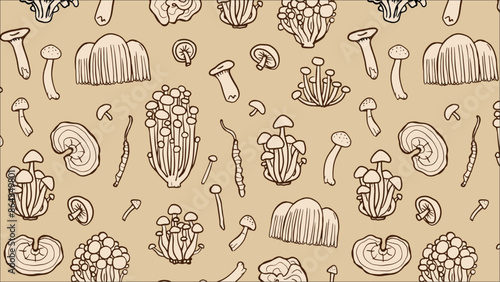 Asian mushrooms pattern. Hand drawn medicinal mushrooms. Illustration of Shimeji, erinji, shitaki, cordyceps, turkey tail and lions mane. Japanese fungus wallpaper.  