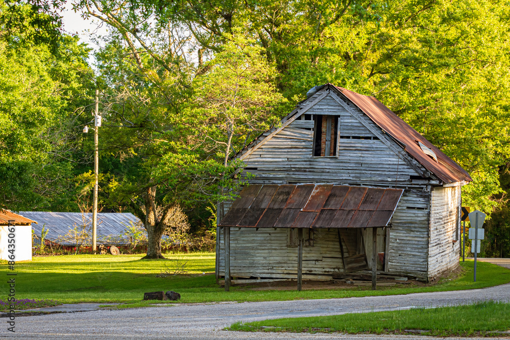 Obraz premium Forgotten past - old abandoned house in rural Southern USA