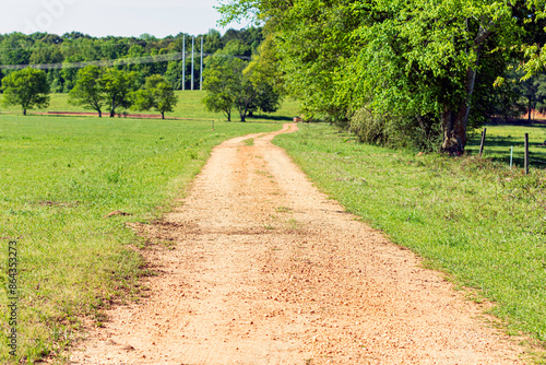 Canvas Print Red dirt road in central Alabama, USA