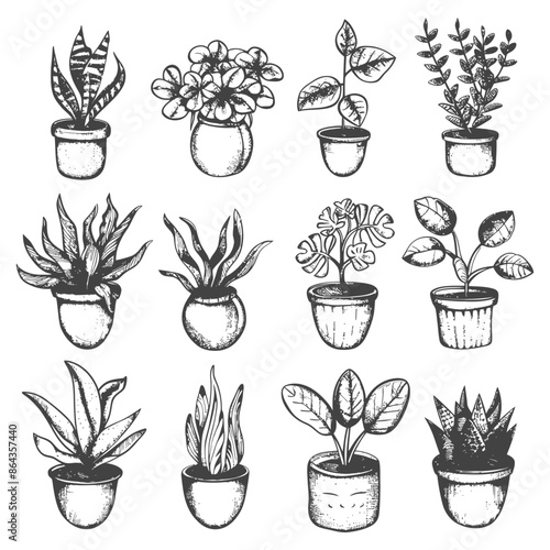 Hand-drawn potted house plants: snake plant, geranium, rubber plant, succulent, agave, and more, sketch-style.