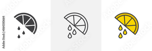 Citrus slice icon symbol collection on white background.