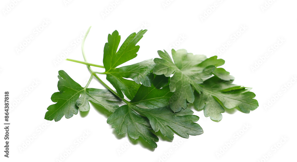 Fresh green celery leaves, pile isolated on white background Fresh green celery leaves, pile isolated on white background