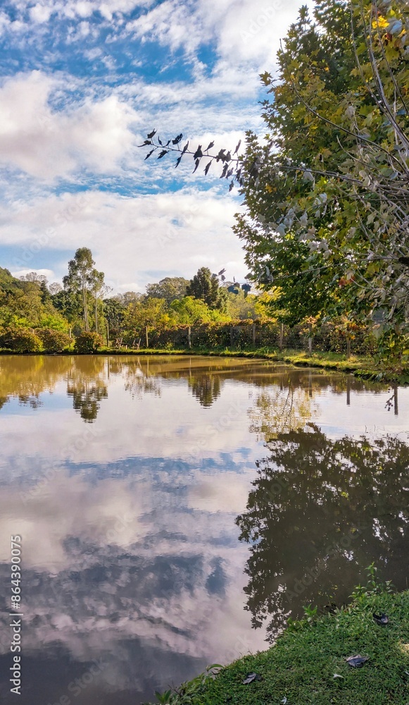 Fototapeta premium Reflection of trees in water
