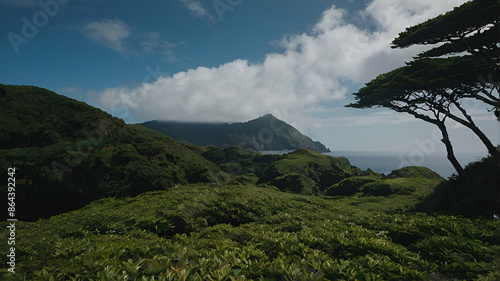 Beautiful Aogashima Island in Japan photo