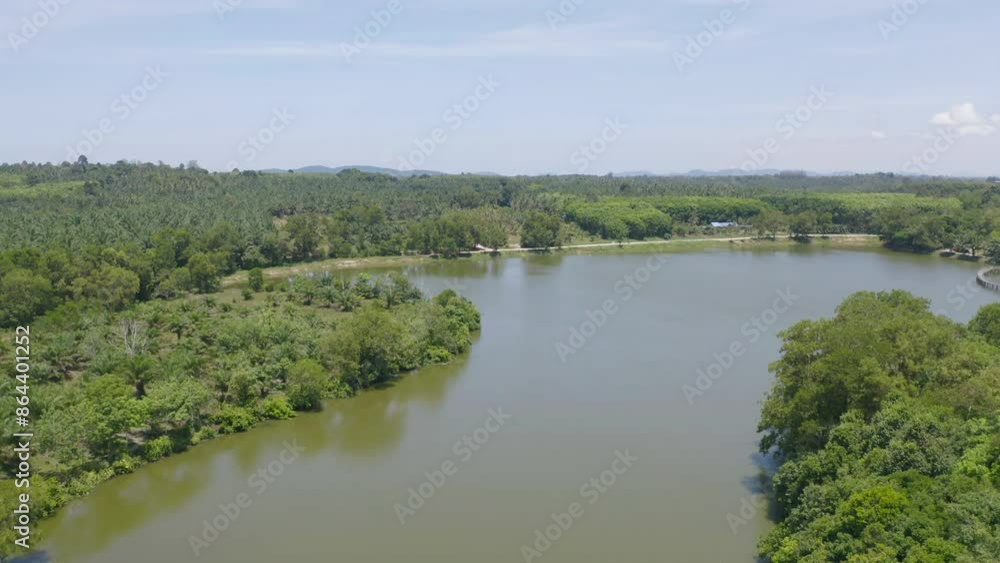 Aerial top view of a bridge with garden park with green mangrove forest trees, river, pond or lake. Nature landscape background, Thailand. Aerial top view of a bridge with garden park with green mangrove forest trees, river, pond or lake. Nature landscape background, Thailand.