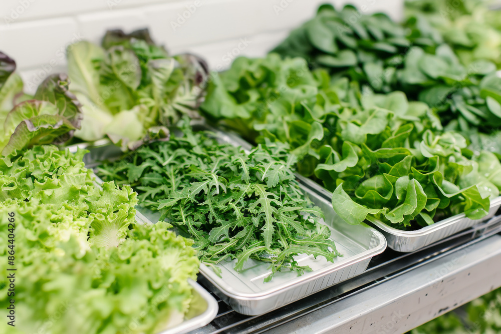 A close-up of freshly picked, assorted green leafy vegetables, neatly arranged for display on trays in a fresh produce market. A close-up of freshly picked, assorted green leafy vegetables, neatly arranged for display on trays in a fresh produce market.