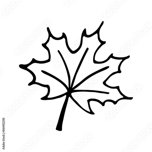 Doodle maple leaf. Hand drawn vector illustration