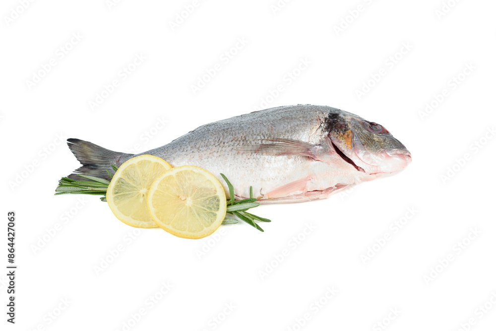 Rosemary sprigs, lemon circles and dorado fish on white background. Rosemary sprigs, lemon circles and dorado fish on white background.