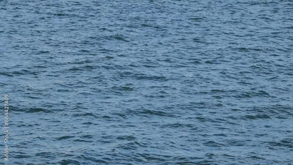 The sun shines in the calm lake and waves are very calm The sun shines in the calm lake and waves are very calm