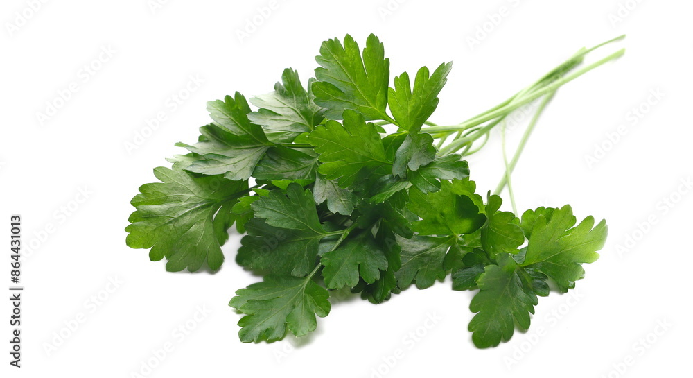 Fresh green celery pile isolated on white background Fresh green celery pile isolated on white background