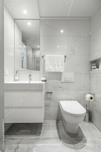 Wallpaper Mural White bathroom with toilet and sink, grey floor tiles, mirror above the washbasin Torontodigital.ca