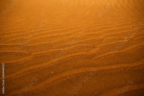 Desert background: Sand dunes in the rays of sunset light