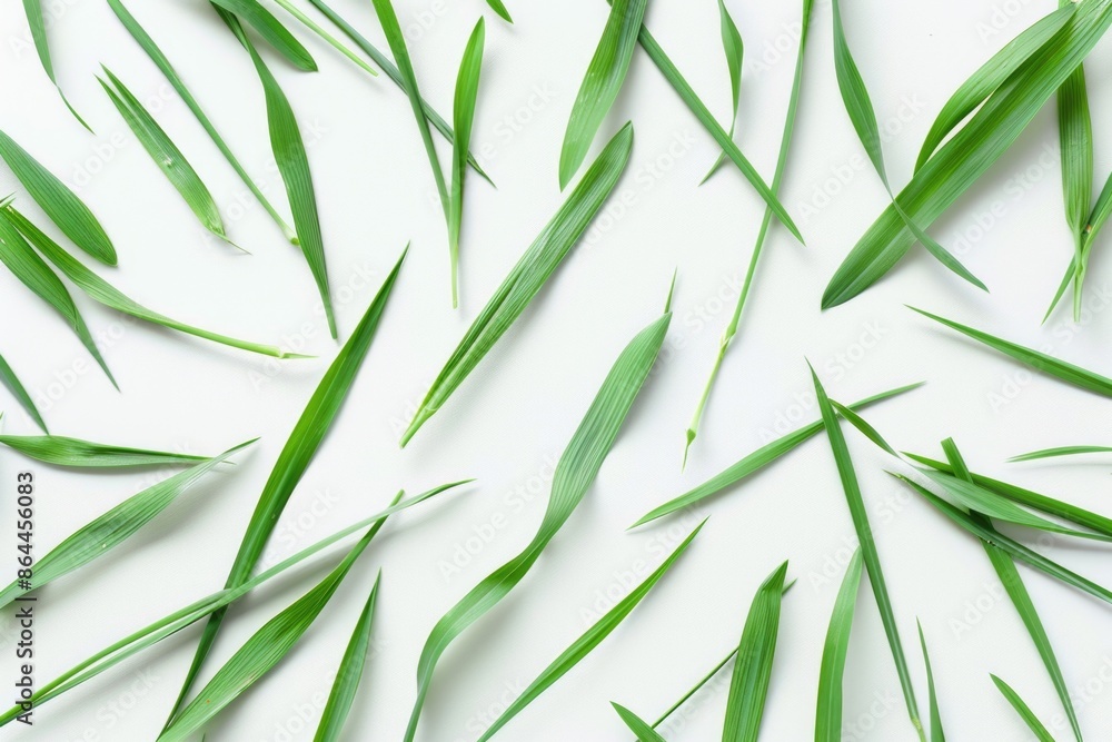 Fototapeta premium A group of fresh green leaves arranged on a clean white surface
