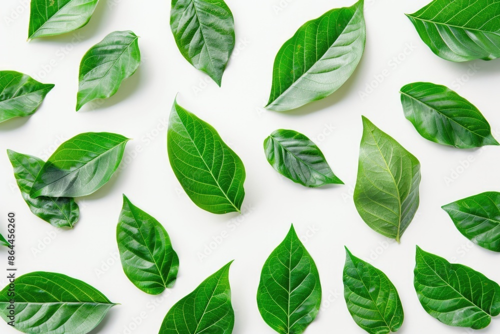 A group of green leaves sit on a white surface