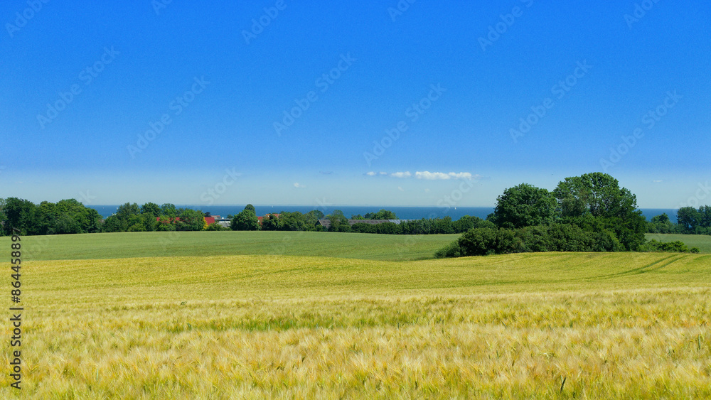 Obraz premium Ostseeblick