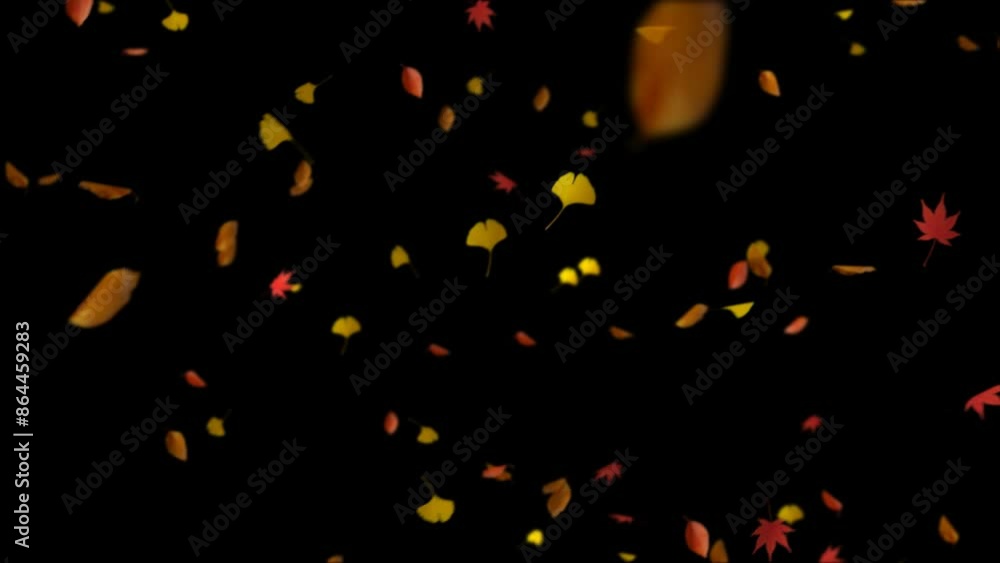 紅葉やイチョウや枯れ葉のループ素材 紅葉やイチョウや枯れ葉のループ素材