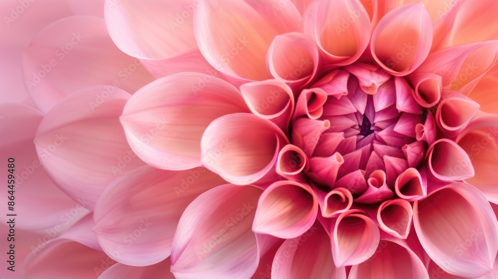 A detailed view of a large pink flower with intricate petals and center A detailed view of a large pink flower with intricate petals and center