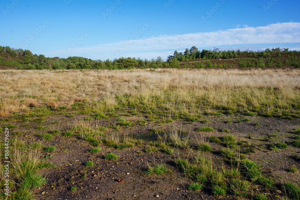 Fototapeta premium View over heathland and grassland