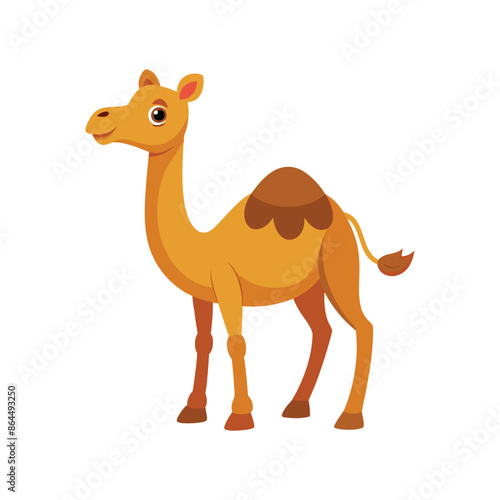 Cartoon camel vector isolated