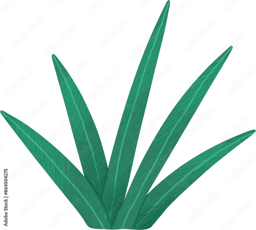 Obraz premium Green tropical plant bushes. Hand drawn illustration 