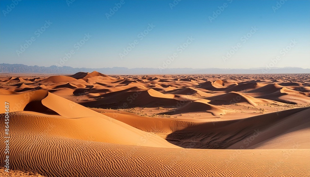 Naklejka premium sand dunes in park