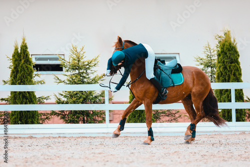 Refusal on horse jumping. Falling from a horse to a speed and hardiness competition. Jumping fail.