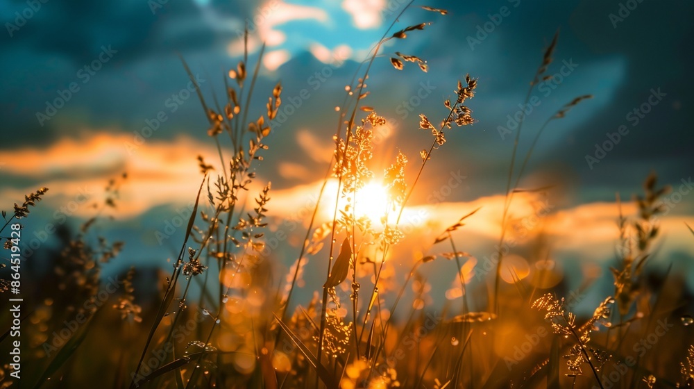 a field of grass with the sun setting in the background a field of grass with the sun setting in the background