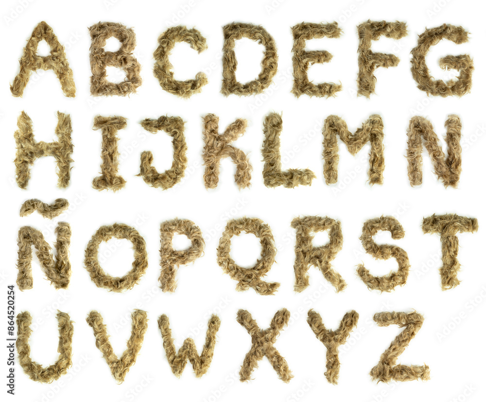 Creative typography made with real dog hair. Blonde hair on white background Dogs, cats, pets, monsters and other furry animals. Complete alphabet. Small letters. Creative typography made with real dog hair. Blonde hair on white background Dogs, cats, pets, monsters and other furry animals. Complete alphabet. Small letters.