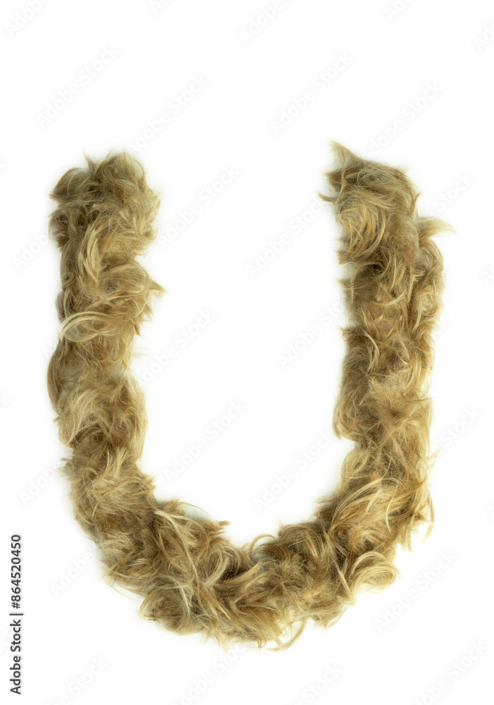 Creative typography made with real dog hair. Blonde hair on white background Dogs, cats, pets, monsters and other furry animals. Complete alphabet. Letter U Creative typography made with real dog hair. Blonde hair on white background Dogs, cats, pets, monsters and other furry animals. Complete alphabet. Letter U