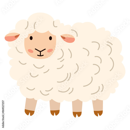 Flat vector illustration. Domestic animals from a farm. Cute sheep on white background . Vector illustration