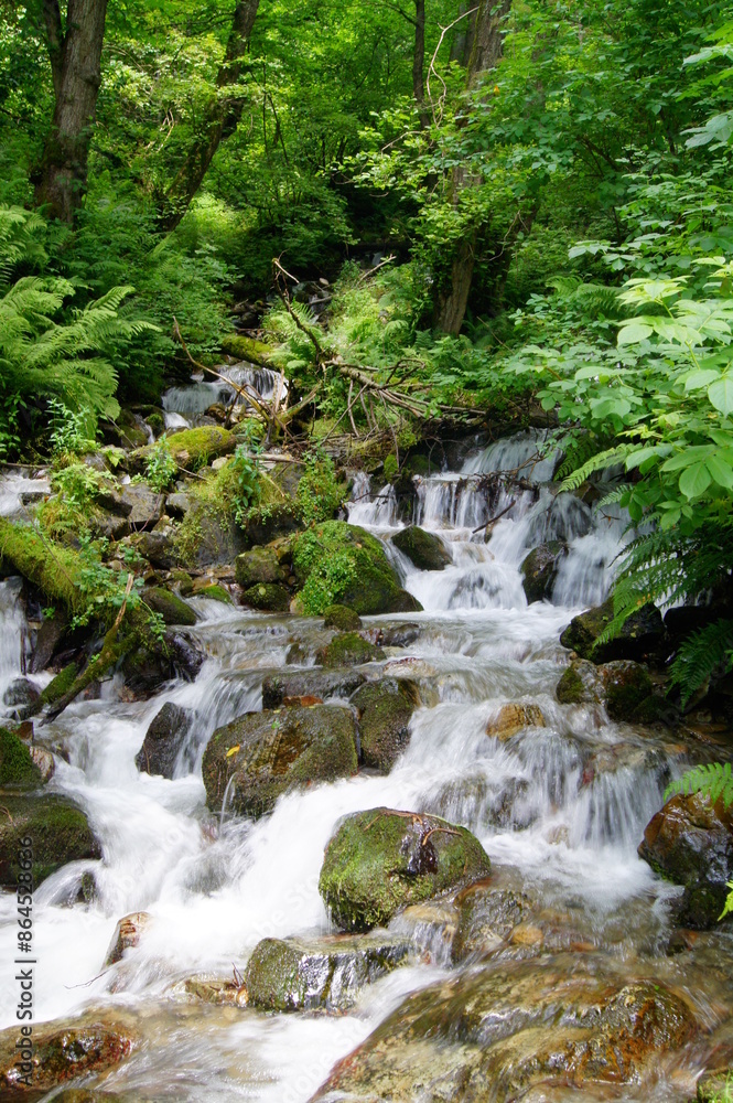 Waterfall in the mountain forest Waterfall in the mountain forest